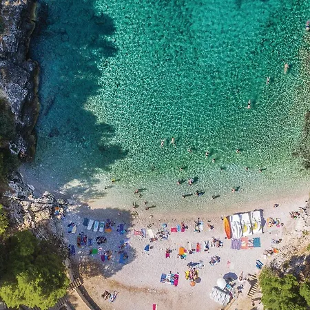 Apartment In With Wifi *